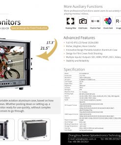 SEETEC P173-9HSD-CO